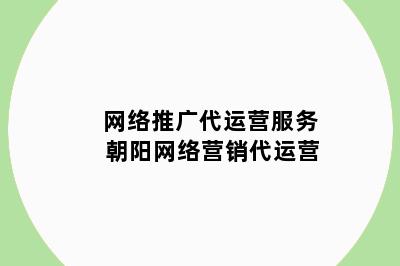 网络推广代运营服务 朝阳网络营销代运营